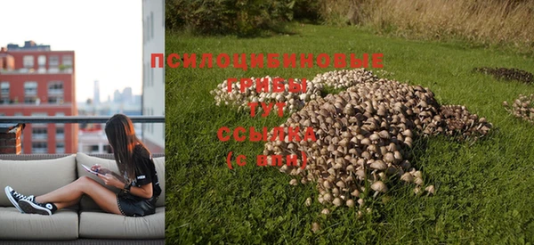 герыч Краснослободск