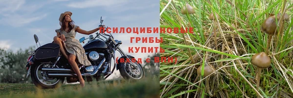 стаф Шарыпово
