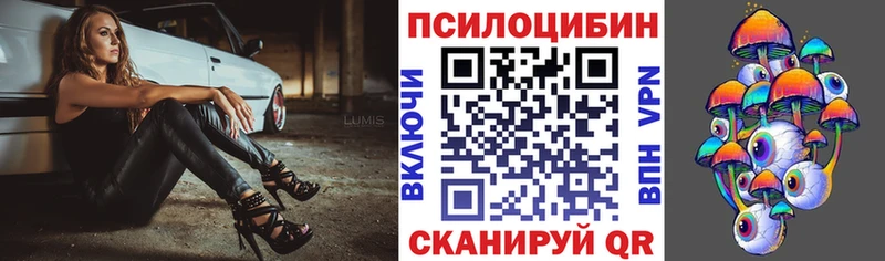 MEGA зеркало  наркотики  Майкоп  Псилоцибиновые грибы мицелий 