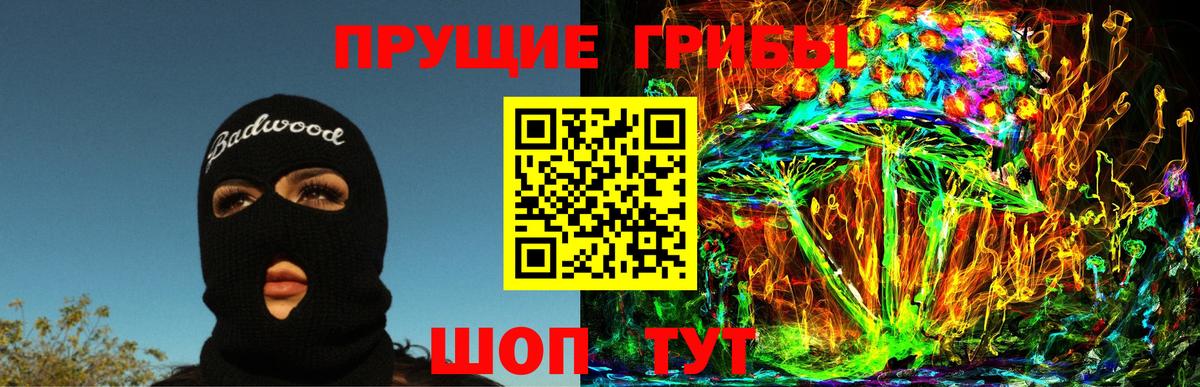 Майкоп  Псилоцибиновые грибы GOLDEN TEACHER  Вход с VPN 